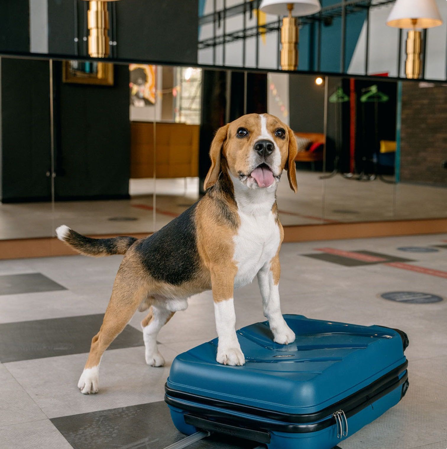 Jinsiy oyinchoqlardan qanday foydalanish kerak Gey pissing porno video